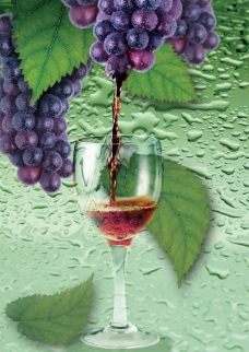 医疗饮食葡萄与葡萄酒